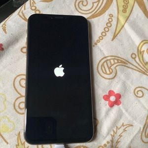 iPhone XS 256 GB FULLY UNLOCKED